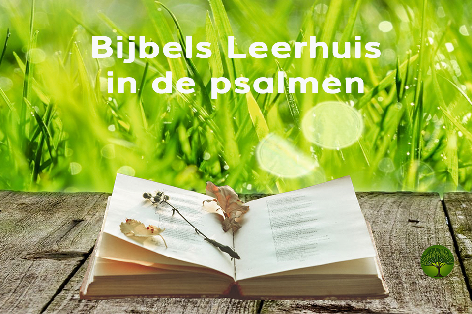 Bijbels Leerhuis – dekenaat Genk